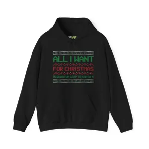 All I Want For Christmas Is Quantum Leap Unisex Hoodie