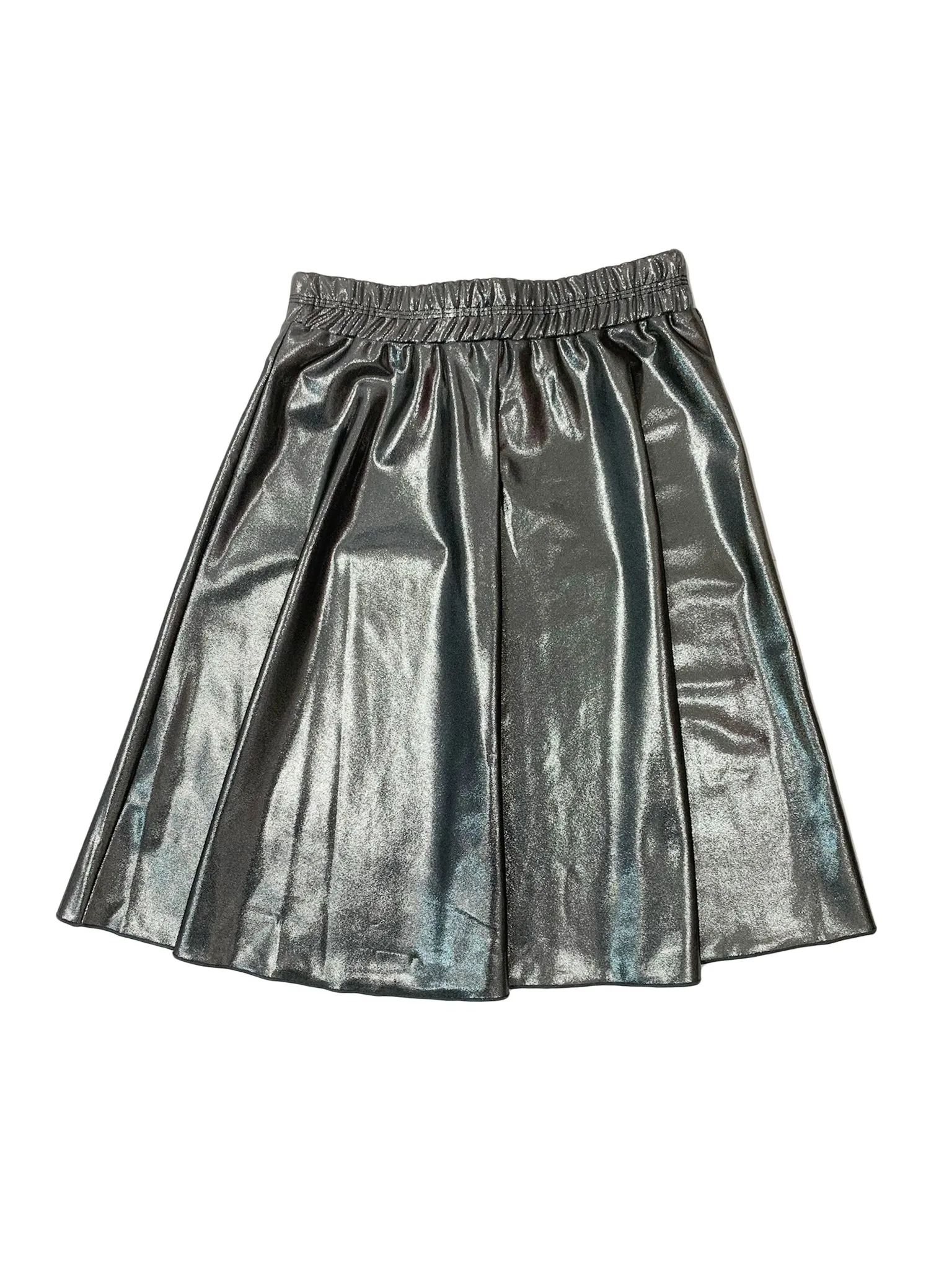 Gunmetal Flairy Swim Skirt