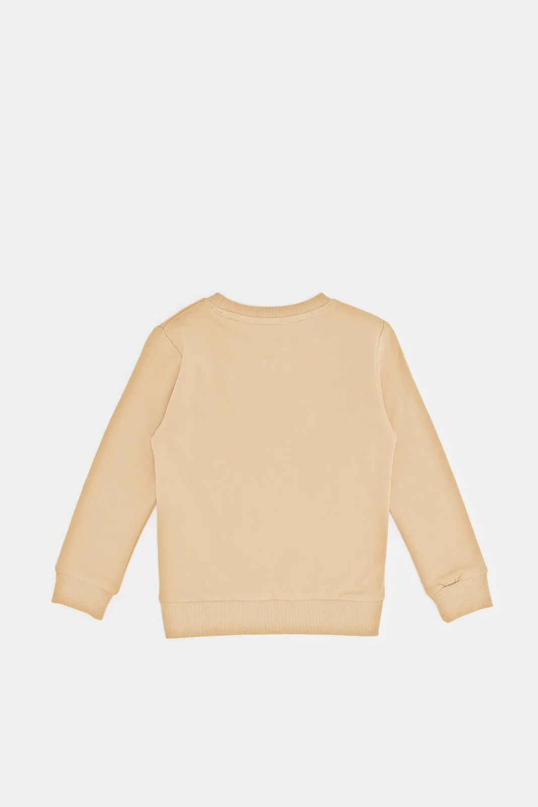 Infant Boys Beige Printed Sweatshirt