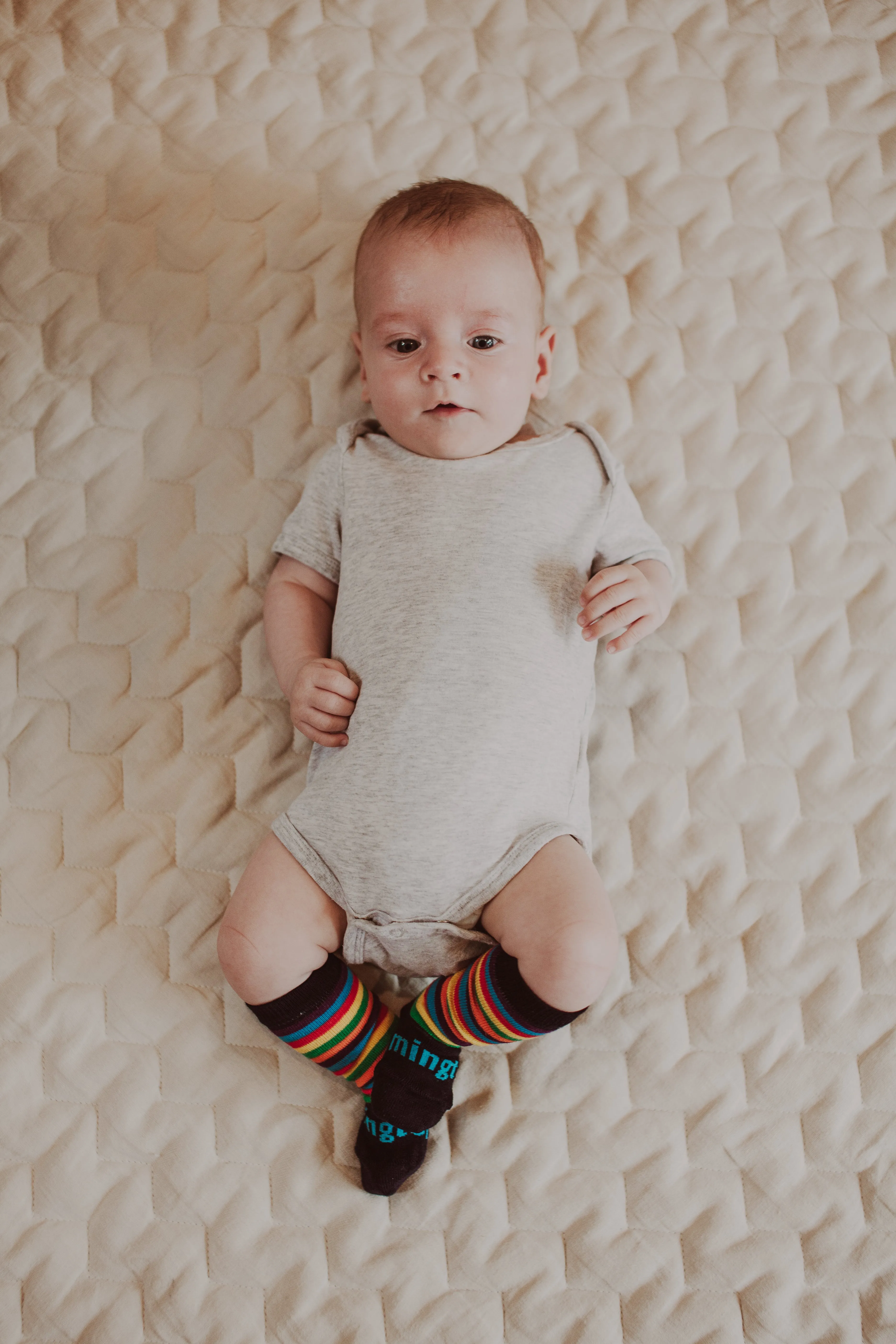 Jester Knee-High Merino Socks (NB-3 months and 8-12 years)