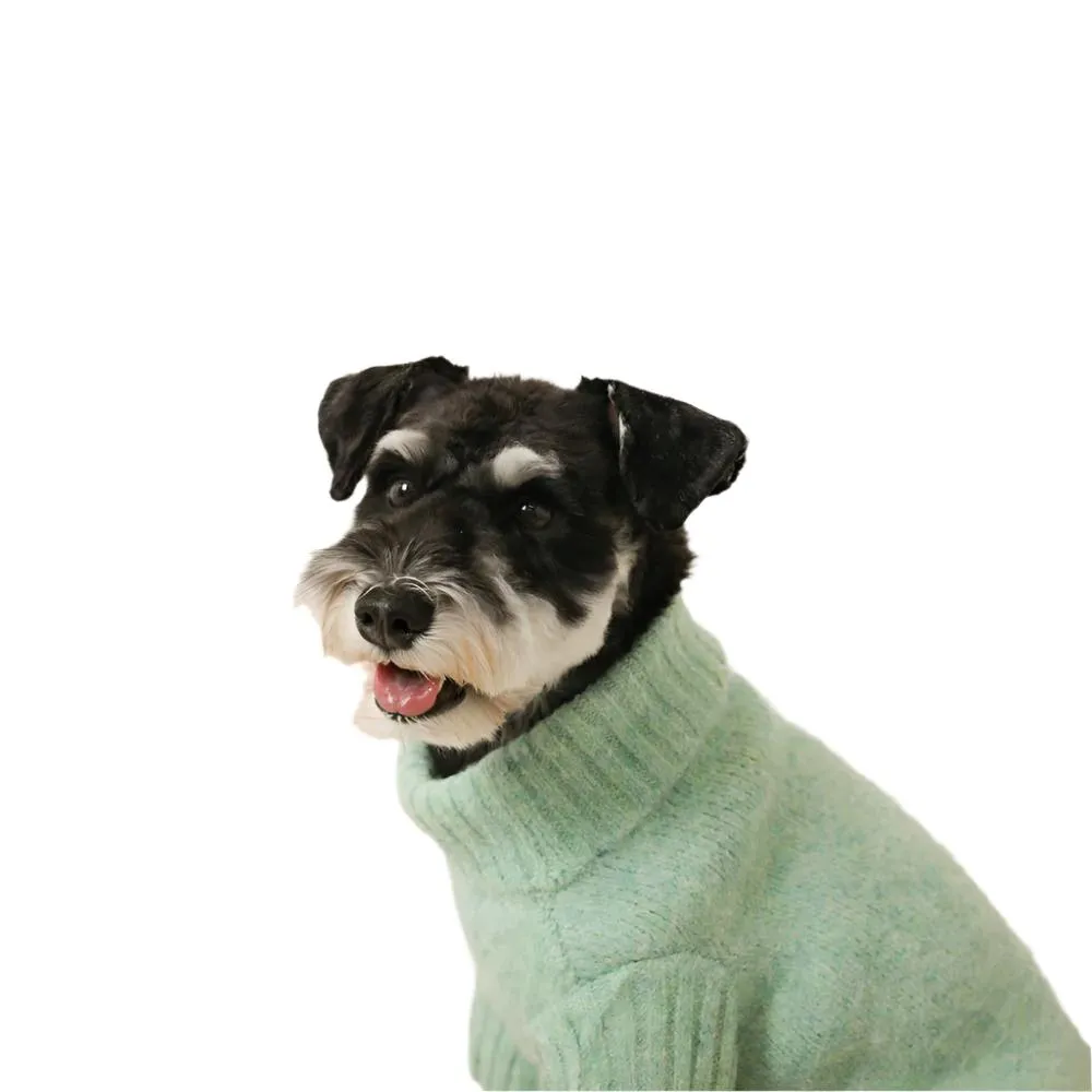 wool blend turtleneck sweater - green-  last one!